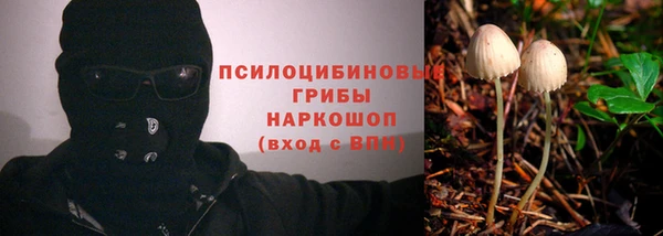 2c-b Михайловка