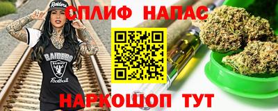 Альфа ПВП Дубна