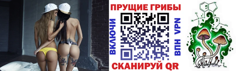 купить   Куйбышев  Псилоцибиновые грибы GOLDEN TEACHER 
