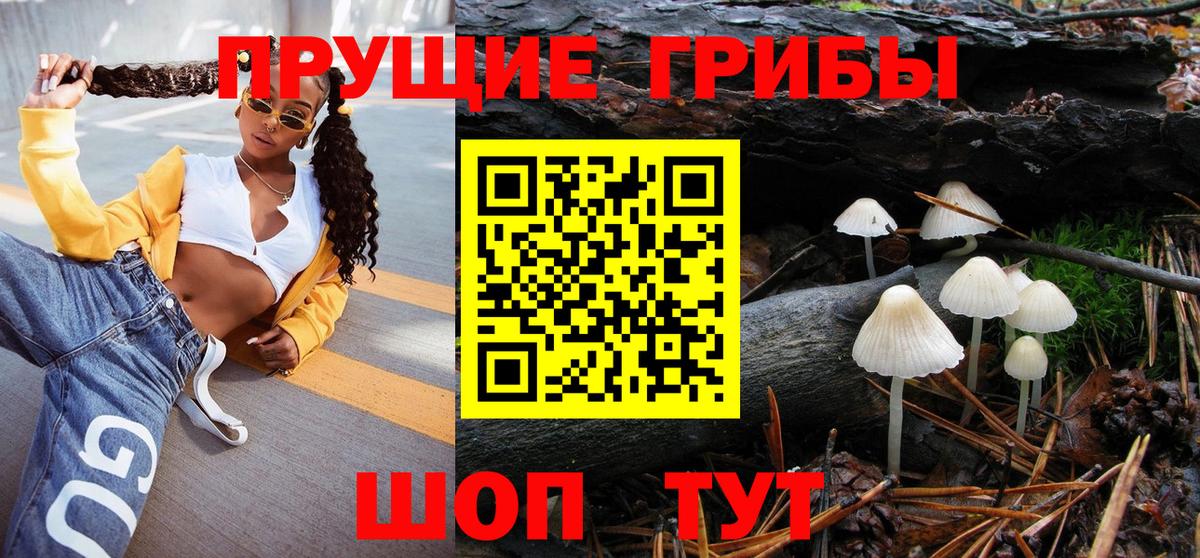 Галлюциногенные грибы Cubensis Куйбышев