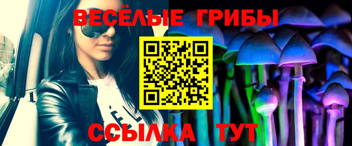 Галлюциногенные грибы Psilocybe  Куйбышев  Галлюциногенные грибы GOLDEN TEACHER 