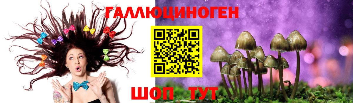 дарнет шоп  Вход с VPN  Псилоцибиновые грибы MAGIC MUSHROOMS  Куйбышев  Псилоцибиновые грибы Psilocybe 