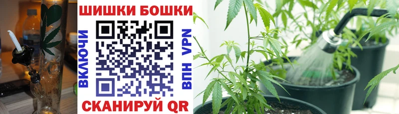 Шишки марихуана планчик  купить наркотики цена  Куйбышев 